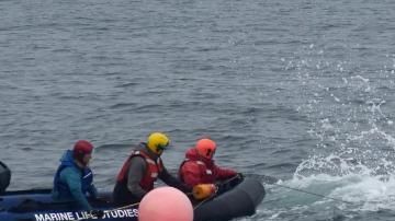 Momento en que la ballena jorobada es liberada.