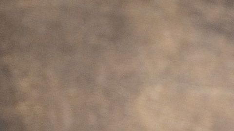 El consumo en ayuno de este jugo de naranja y rábano esta altamente recomendado para desintoxicar el cuerpo en invierno.