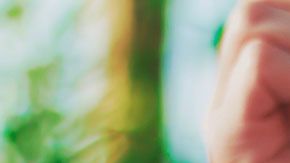 Tienes que revisar una página de internet para saber dónde se estará regalando el café.