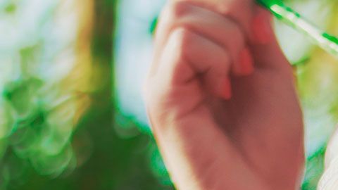 Tienes que revisar una página de internet para saber dónde se estará regalando el café.