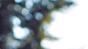 Sofía Aragón participará en Miss Universo 2019