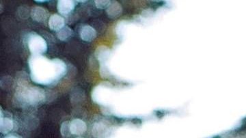 Sofía Aragón participará en Miss Universo 2019