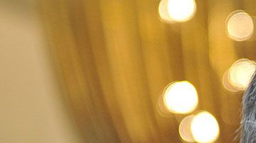 Arnault pudo hacer su fortuna manejando las empresas Moët Hennessy - Louis Vuitton.