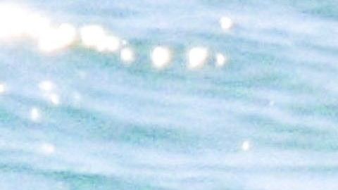 Photo © 2019 Backgrid/The Grosby Group
Spain: Lagencia Grosby

7 DECEMBER 2019 

PREMIUM EXCLUSIVE
Tulum, MEXICO  Eiza González and Luke Bracey enjoy a romantic moment in the surf before heading to the Dior Fashion show in Tulum, Mexico.