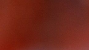 La novia del mariscal lamentó el mal momento que vivió en el Gillette Stadium.