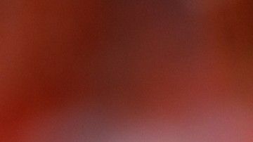 La novia del mariscal lamentó el mal momento que vivió en el Gillette Stadium.