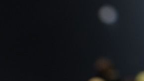 Tus comidas no tienen por que ser insípidas, integra estos exquisitos condimentos naturales y cuida tu salud.