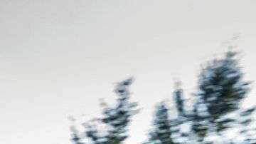 Bugatti Chiron Noire