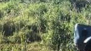 Cae funcionario mexicano en Guatemala con 2 toneladas de droga