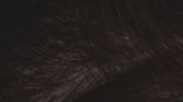 Conducir con un teléfono en mano pudiera manchar tu historial de manejo permanentemente