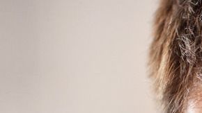 Picture showing adult attractive couple in bed