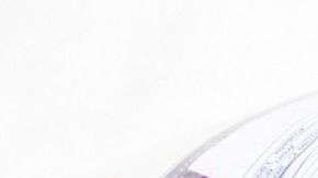 ensalada bolsa-canva