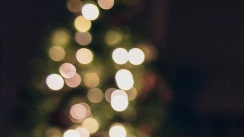 Todo sobre los alimentos más populares para celebrar este Año Nuevo.