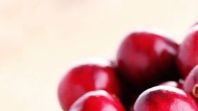 cranberries-canva