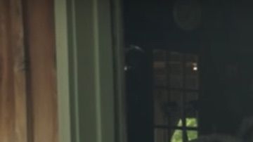 Porsche 912 abandonado por más de 12 años.