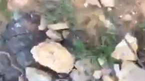 Afortunadamente, alguien escuchó los pedidos de auxilio de esta mujer.