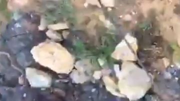 Afortunadamente, alguien escuchó los pedidos de auxilio de esta mujer.