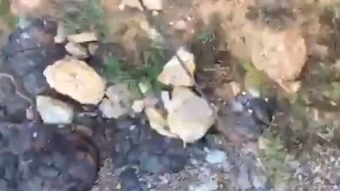 Afortunadamente, alguien escuchó los pedidos de auxilio de esta mujer.