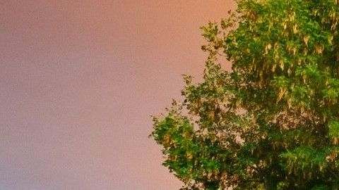 Poner en renta tu propiedad puede ayudarte en tu vida.