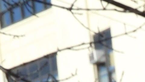 Protestas en Queens a fines de 2018