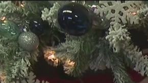 El ladrón se llevó varias cajas