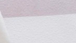 El secretario interino, Chad Wolf, rechaza que se otorgue licencias a indocumentados.