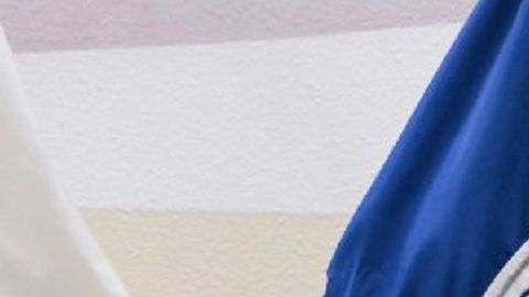 El secretario interino, Chad Wolf, rechaza que se otorgue licencias a indocumentados.