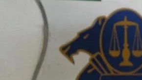 Iván Archivaldo Guzmán Salazar "El Chapito".