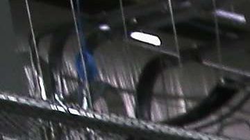 Los doctores alertan de la amenaza de la influenza a la salud pública.