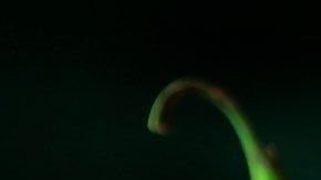 Los chiles se destacan por sus grandes propiedades antiinflamatorias y es un buen aliado para bajar de peso.