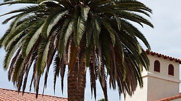 Alcaldía de la ciudad de Chula Vista, certificada como "ciudad de bienvenida".