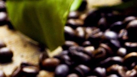 El consumo de café puro es altamente recomendado para promover la quema de grasas y calorías.