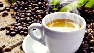 El consumo de café puro es altamente recomendado para promover la quema de grasas y calorías.