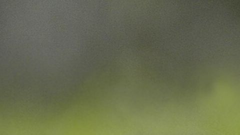 Violencia en México.