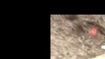 El derrame ocurrió sobre la I-696.