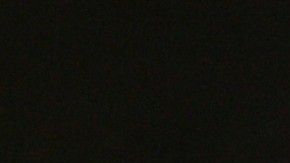 La ceremonia del Salón de la Fama del WWE 2020 será el jueves 2 de abril.