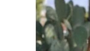 La menor salió de su domicilio el pasado 10 de diciembre y nunca regresó.