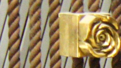 La Virgen de Guadalupe se encuentra en la CDMX.