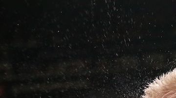 Chávez recibe castigo de Jacobs. La pelea duró 5 rounds.