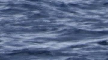 Los narcos usaron lanchas rápidas.