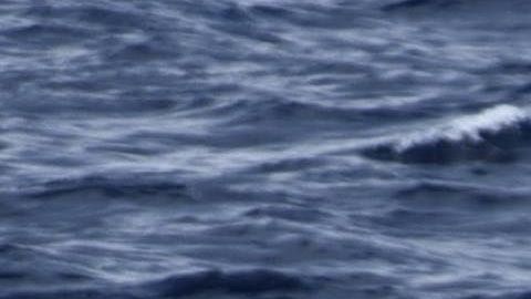 Los narcos usaron lanchas rápidas.