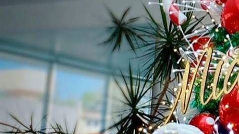 Andrea Legarreta en Navidad