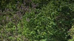 Tragedia en estación 190 St