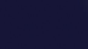 Una decoración muy "original".