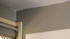 Los alumnos estudian en el Tecnológico de Morelia.