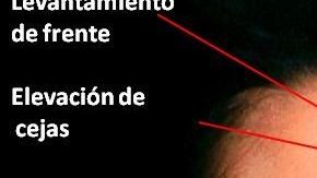 Eternamente bella bella_942853