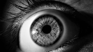 Aline Berry-ojo-ciego-pixabay