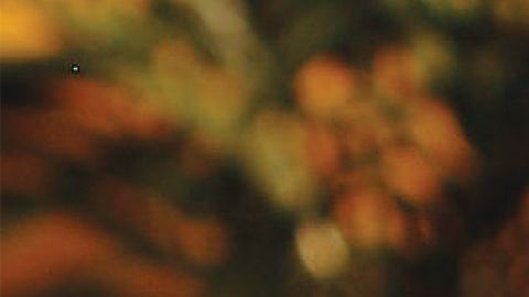 Esta receta de enchiladas rojas rellenas de carne deshebrada es una maravillosa opción para comidas familiares ¡Le encantarán a todos!