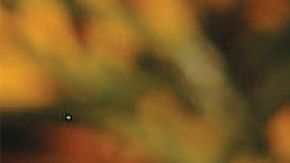 Esta receta de enchiladas rojas rellenas de carne deshebrada es una maravillosa opción para comidas familiares ¡Le encantarán a todos!