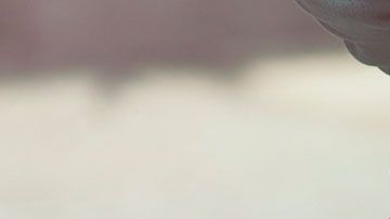 Anteriormente, el millonario solicitó a una asistente personal a la que le pagaría $52,000 dólares.